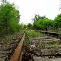 Дорога в прошлое :: Девяткин Юрий 