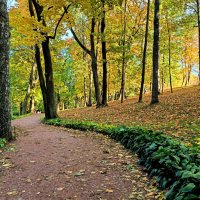 Петергоф, Нижний парк :: Александр Ульныров