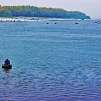 Осень..Где щуки крупнее! :: Владимир 