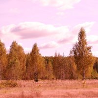 Теплая осень :: Андрей Зайцев