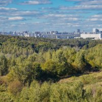 Московская осень... :: Владимир Жданов