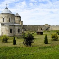 Ивангородская крепость. :: Лариса С.