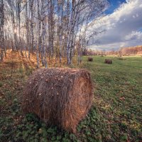 Восходит осень плавно на порог... :: Николай Привалов