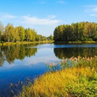 Осенний пейзаж :: Милешкин Владимир Алексеевич 