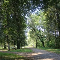 Царское Село :: Наталья Герасимова