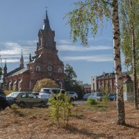 Городские березки. :: Николай 