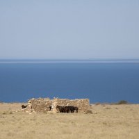 Ветрено и жарко... :: Галина Ильясова