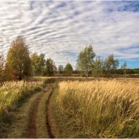 Тёплый сентябрь ( день двадцать четвёртый ) :: Валентин Котляров