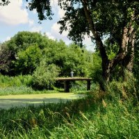 Старый мост на речке Городне,,, :: Анатолий Колосов