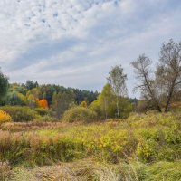 Палитра сентября... :: Владимир Жданов