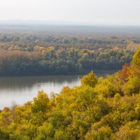 Золотая осень :: Дарья Рогозина