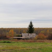 За околицей :: Любовь Сахарова