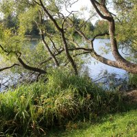 Царское Село. Отдельный парк :: Наталья Герасимова