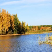 Осенний пейзаж :: Александр Щеклеин