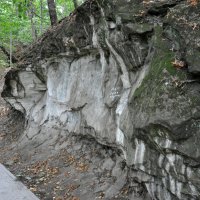 Дорога в парк от санатория Димитрова :: Татьяна Машошина