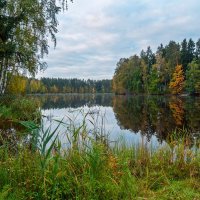 Осеннее утро :: Валерий Иванович