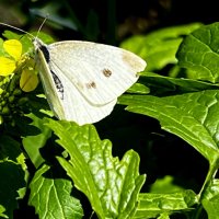 Тихо в парке. Вот и наступила осень. Сентябрь "The Natural World" :: "The Natural World" Александер