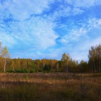 Октябрь в Загородном... :: Владимир Шошин