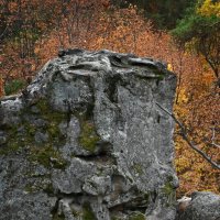 "Окаменевший Великан" :: Александр Беляков