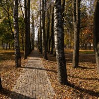 Осень в парке. :: Андрей Андрианов