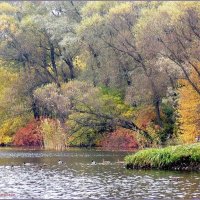 Осень....Царское Село... :: vadim 