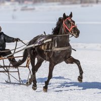 Бега :: SanSan 