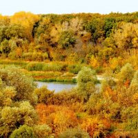 Золотая осень на Хопре. :: Восковых Анна Васильевна 