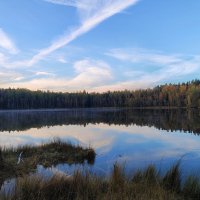 Лесное озеро :: Денис Бочкарёв