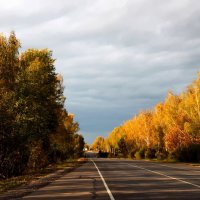 Попутчица осень. :: Маргарита ( Марта ) Дрожжина