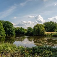 В разгаре лета... :: Николай Гирш