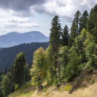 В горах Сочи :: оксана 