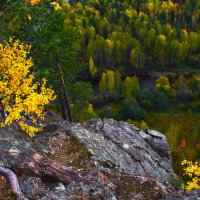 Осени прощальный цвет. :: Юрий кот