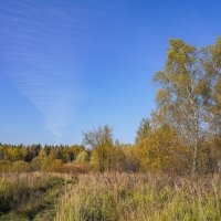 В поле... :: Владимир Жданов