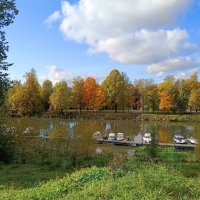 В октябрьский день на реке Ижоре... :: Мария Васильева