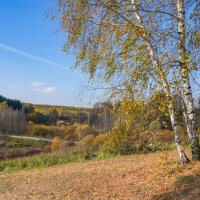 Палитра октября... :: Владимир Жданов