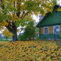 Осень в деревне. :: adrow 