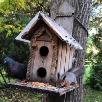 Заскочили на перекус. :: Ольга 