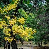 В парке... :: Николай Саржанов