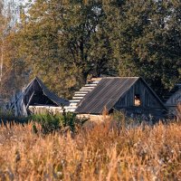 В деревне :: Александр 