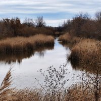 Речка в октябре :: Георгиевич 