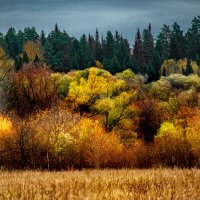 Яркая осень :: Людмила Баймухаметова