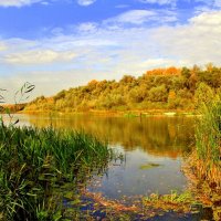 От родничка выхожу к Хопру. Раньше здесь была лодочная пристань. :: Восковых Анна Васильевна 