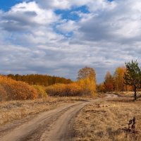 Неисчерпаемая палитра вдохновения! :: Елена Хайдукова  ( Elena Fly )