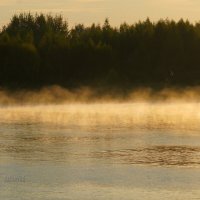 Туман на воде :: Сергей Беляев