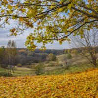 Октябрь в Царицыно... :: Владимир Жданов