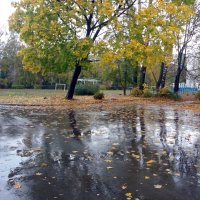 Осень в городе :: Galina Solovova