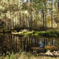 ОСЕНЬ В КЕМЕРИ :: ИННА ПОРОХОВА