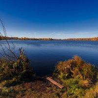 Природа на озере :: Александр Синдерёв