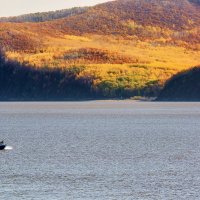 Осенние сопки у Амура. :: Виктор Иванович Чернюк