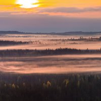 Туман на рассвете :: Фёдор. Лашков